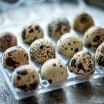 Jakie właściwości posiadają przepiórcze jaja?