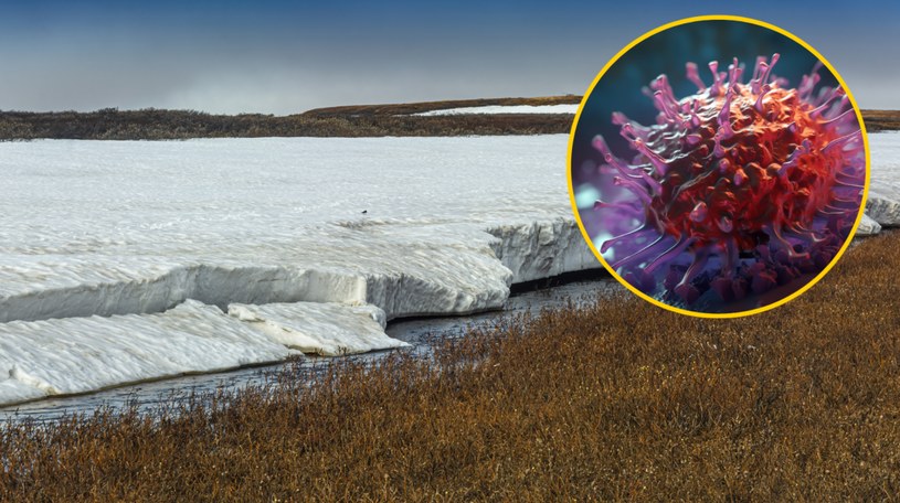 Jakie zagrożenie stanowią dla środowiska starożytne patogeny uwalniane z wiecznej zmarzliny? /123RF/PICSEL