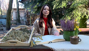 Jakie zioła zbierać w Polsce wiosną? Mają magiczne właściwości