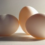 Jakie zmiany zauważysz jedząc trzy jajka dziennie przez tydzień?