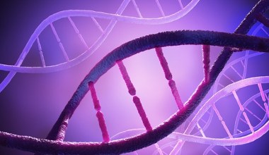 "Jama czaszek". Badania DNA doprowadziły do zaskakujących wniosków