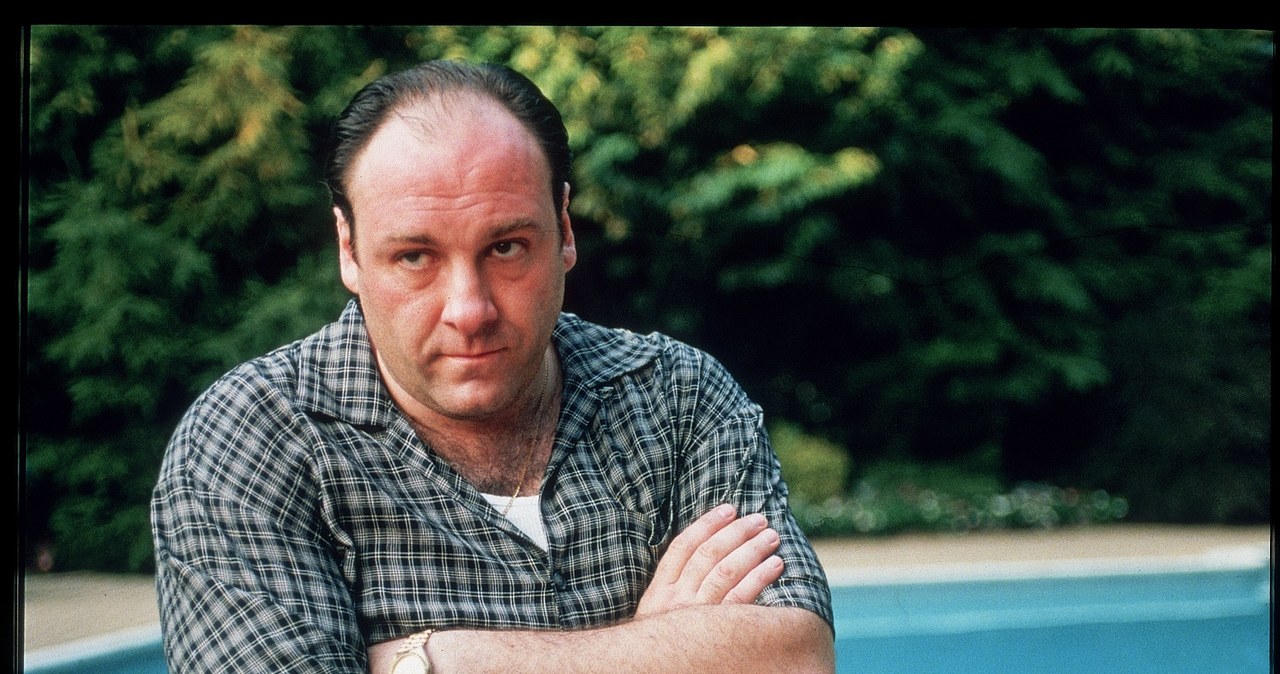 James Gandolfini w serialu "Rodzina Soprano" /Anthony Neste /Getty Images