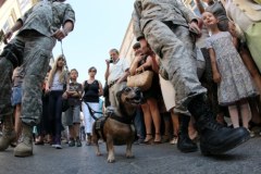 Jamniki przemaszerowały ulicami Krakowa