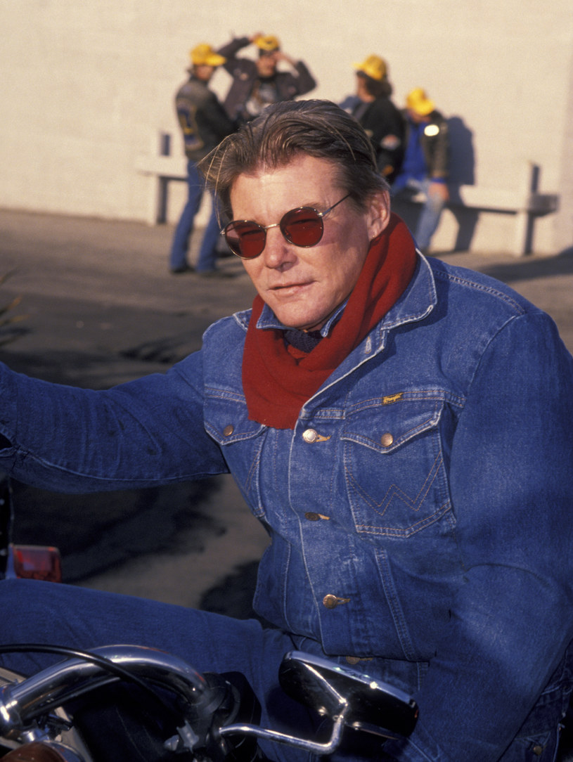 Jan-Michael Vincent w 2010 roku /Ron Galella /Getty Images