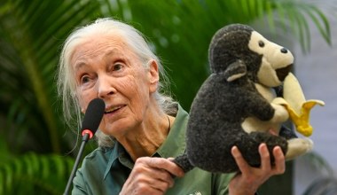 Jane Goodall zostawiła radykalne ostrzeżenie. "To jest piekło na ziemi"