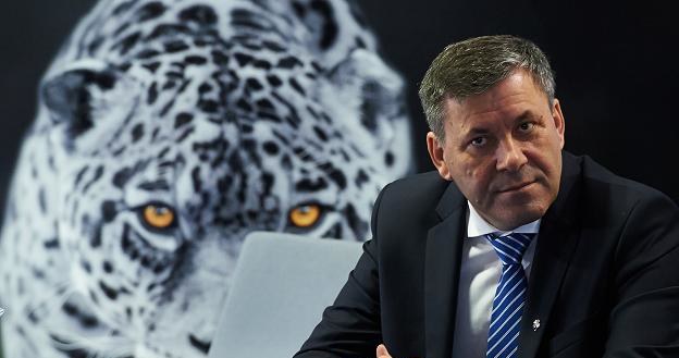 Janusz Piechociński, minister gospodarki RP. Polska tygrysem nie będzie... /PAP