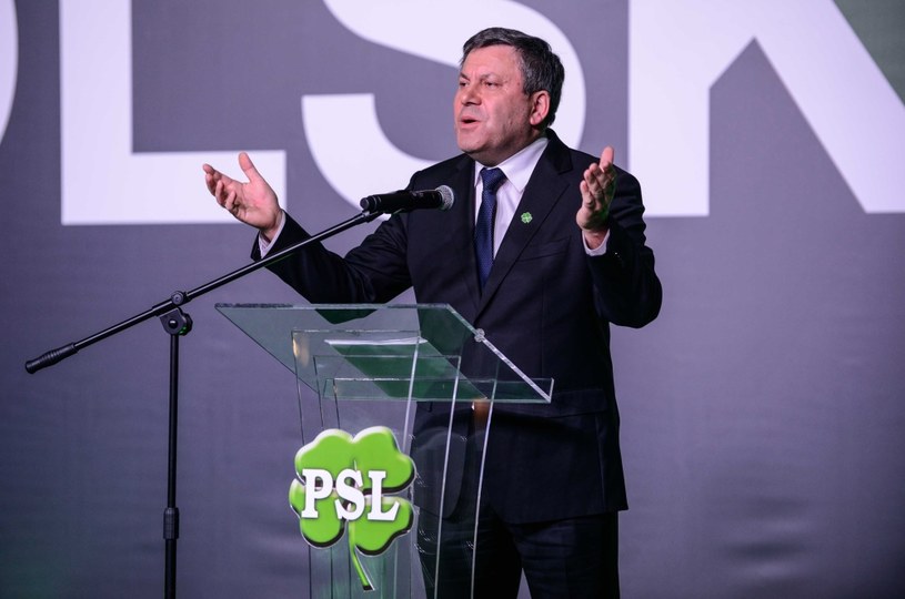 Janusz Piechociński, minister gospodarki /PAP