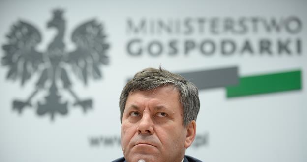 Janusz Piechociński, wicepremier i minister gospodarki, podczas konferencji prasowej w Warszawie /PAP