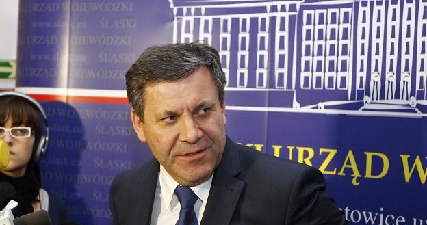 Janusz Piechociński, wicepremier i minister gospodarki /PAP