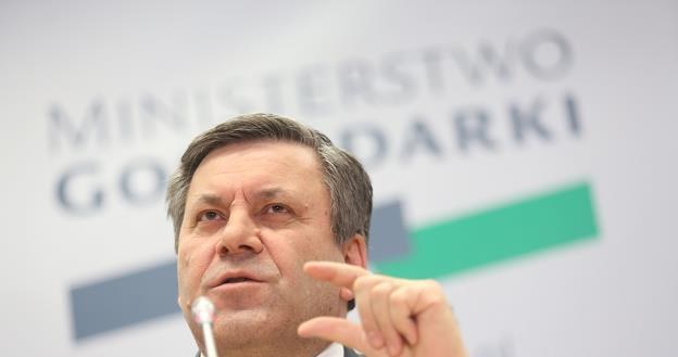 Janusz Piechociński, wicepremier, minister gospodarki, fot. Leszek Szymański /PAP