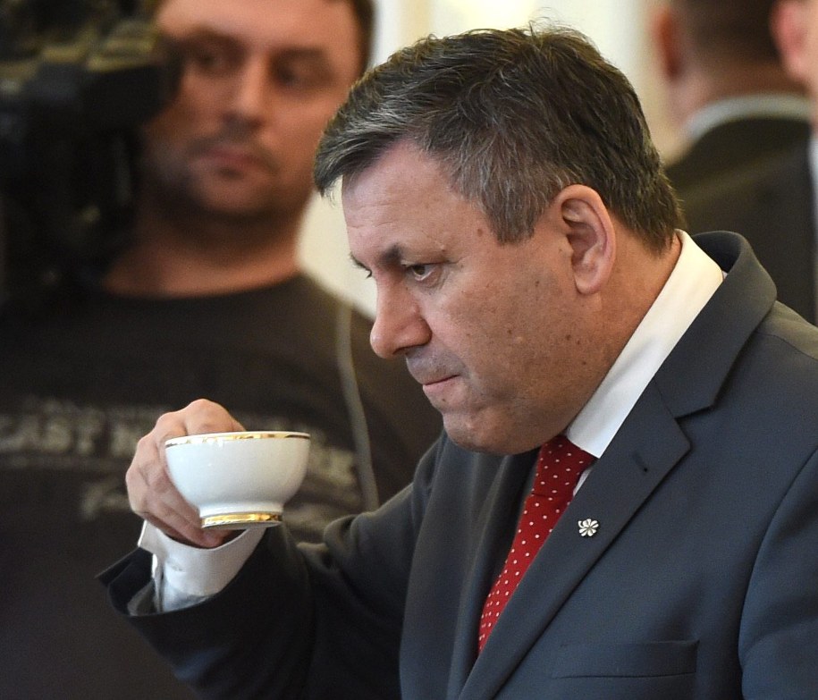 Janusz Piechociński / 	Radek Pietruszka   /PAP/EPA