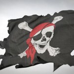 Japonia: Dwa lata więzienia za piractwo