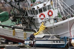 Japonia: Sprzątanie zdewastowanego portu