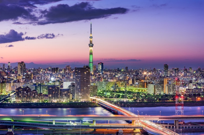 Japonia zwiększa restrykcje wobec Rosji. Na zdj. Tokio /123RF/PICSEL