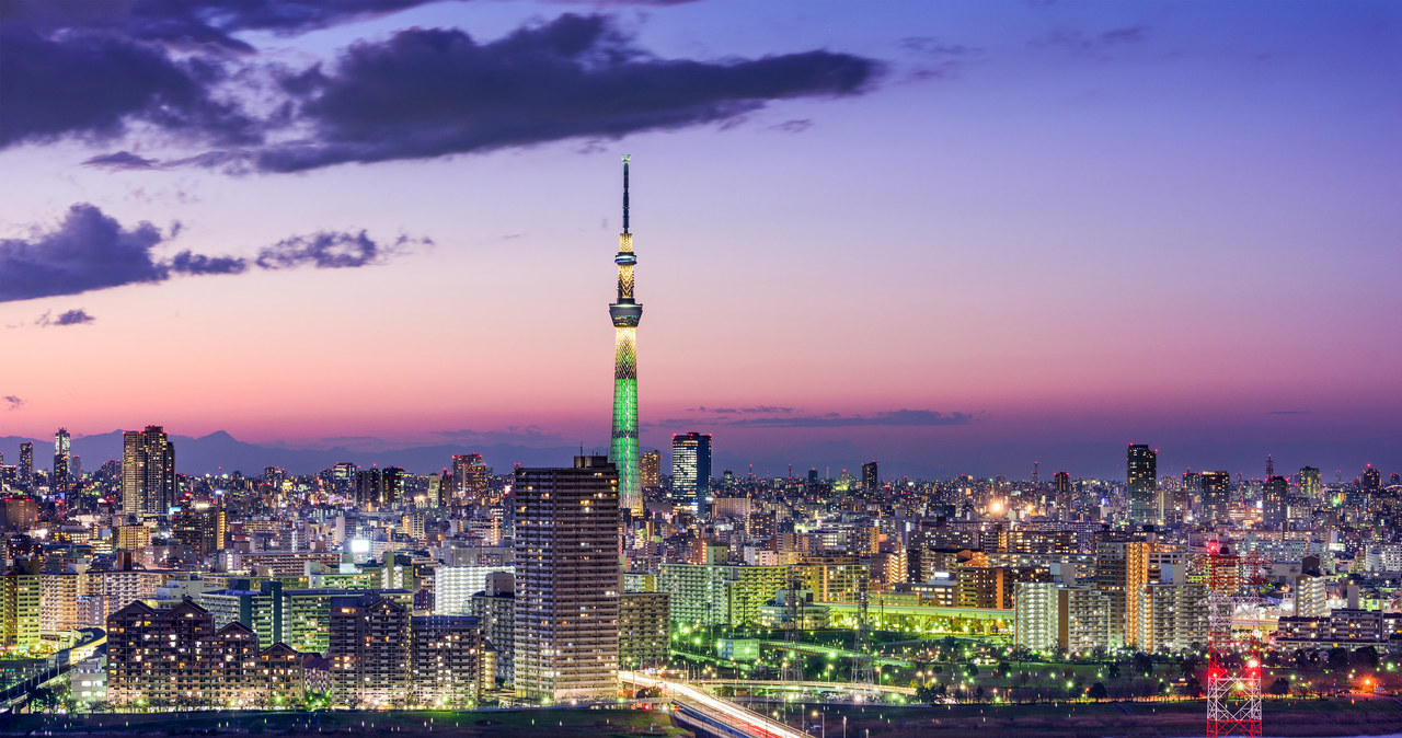 Japonia zwiększa restrykcje wobec Rosji. Na zdj. Tokio /123RF/PICSEL