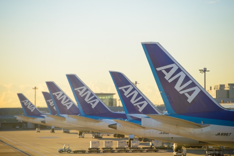 Japońska linia lotnicza ANA liczy straty po tym jak tanio sprzedała bilety w klasie biznes /123RF/PICSEL