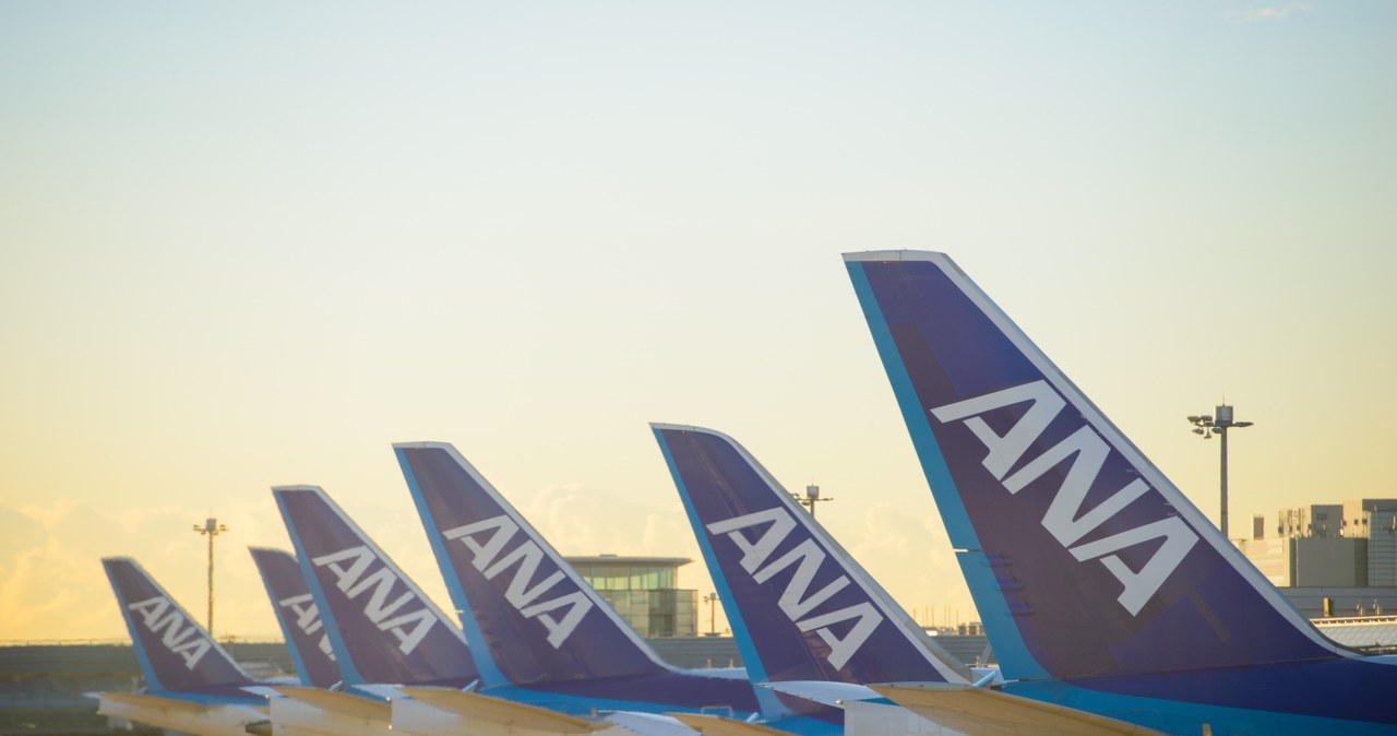 Japońska linia lotnicza ANA liczy straty po tym jak tanio sprzedała bilety w klasie biznes /123RF/PICSEL