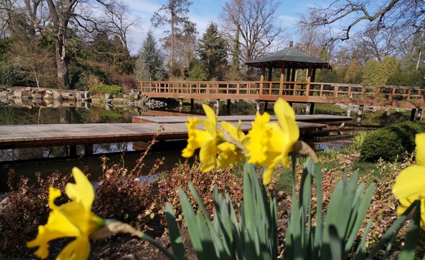 Japoński i Botaniczny. Można już odwiedzać wrocławskie ogrody