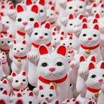 Japońskie kociaki opanowały świat. Poważna konkurencja dla tradycyjnych pamiątek turystycznych