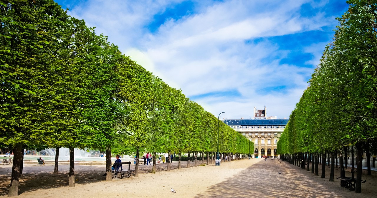 Jardins du Palais Royal /123RF/PICSEL