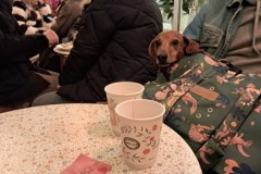 Jarmark na Nikiszu. Galeria