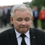 Jarosław Kaczyński na emeryturze chce hodować byki! 