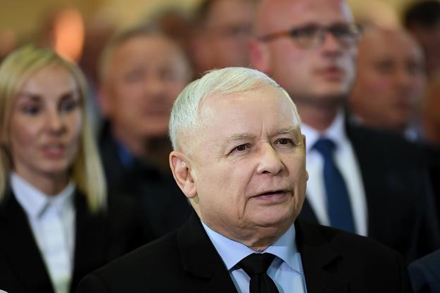 Jarosław Kaczyński (na pierwszym planie) /PAP