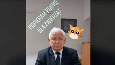 Jarosław Kaczyński na TikToku. Rzuca wyzwanie premierowi