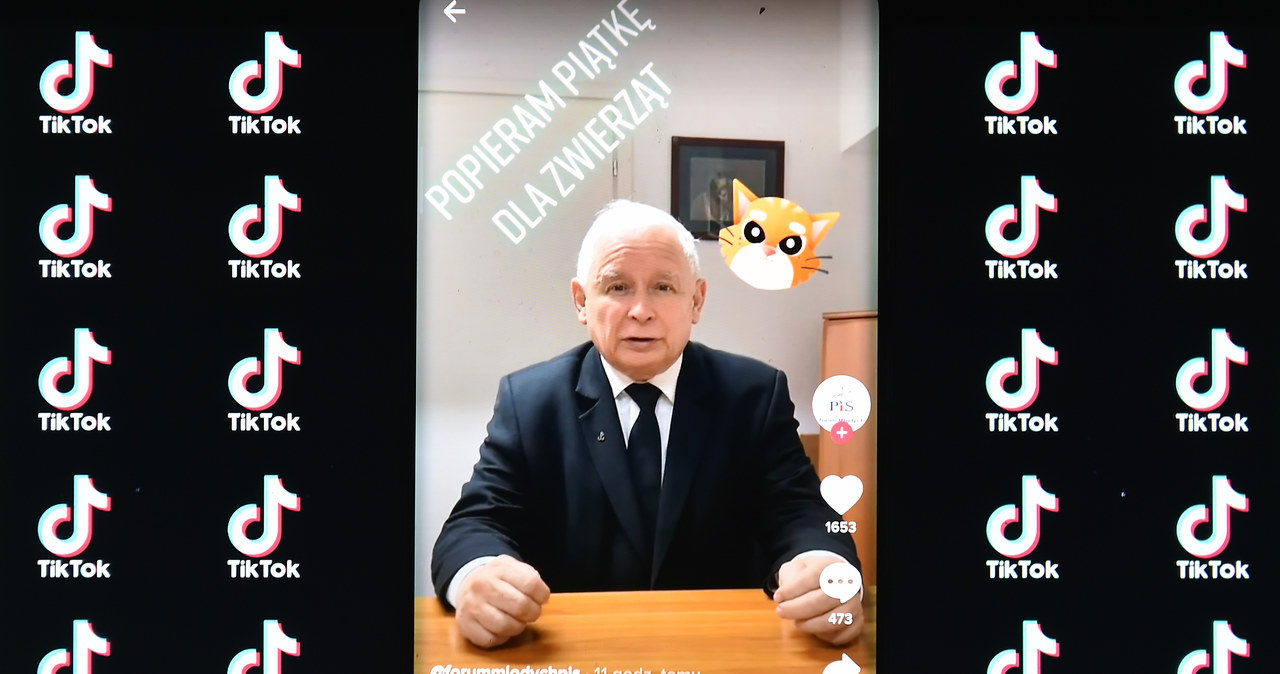 Jarosław Kaczyński na TikToku / Łukasz Dejnarowicz  /Agencja FORUM