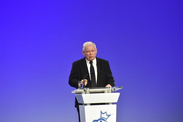 Jarosław Kaczyński, prezes PiS /fot. Jacek Bednarczyk /PAP