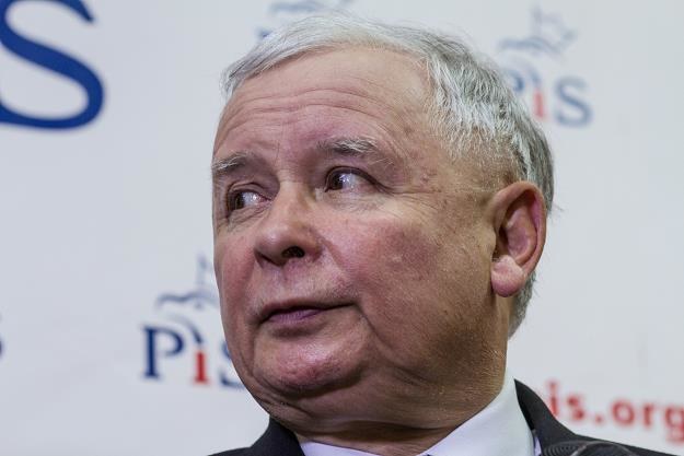 Jarosław Kaczyński, prezes PiS /PAP