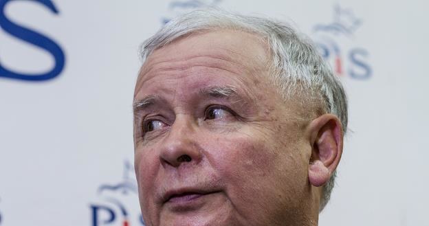 Jarosław Kaczyński, prezes PiS /PAP