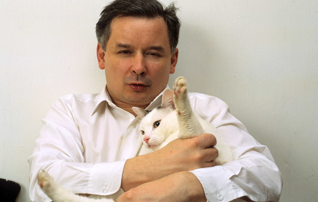 Jarosław Kaczyński z jednym ze swoich kotów, fot.Jarosław Stachowicz &nbsp; /Agencja FORUM