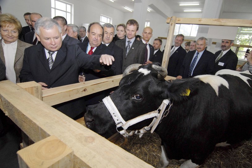 Jarosław Kaczyński znany jest z miłości do zwierząt, na zdjęciu; jako premier otwarciu Międzynarodowych Targów Hodowli, Ogrodnictwa i Rozwoju Obszarów Wiejskich w 2007 r. /Marek Lapis /Agencja FORUM