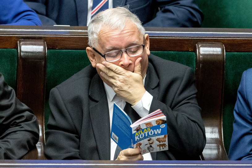 Jarosław Kaczyński znany jest z miłości do zwierząt /fot. Andrzej Iwanczuk /Reporter