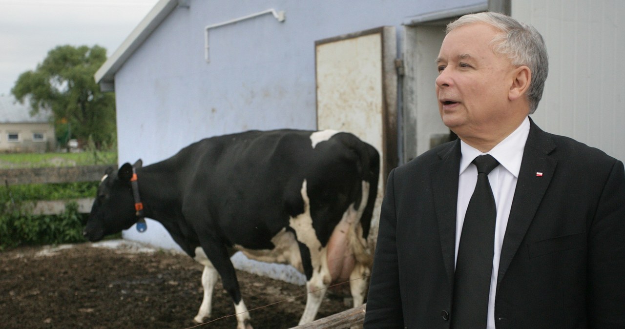 Jarosław Kaczyński /- /East News