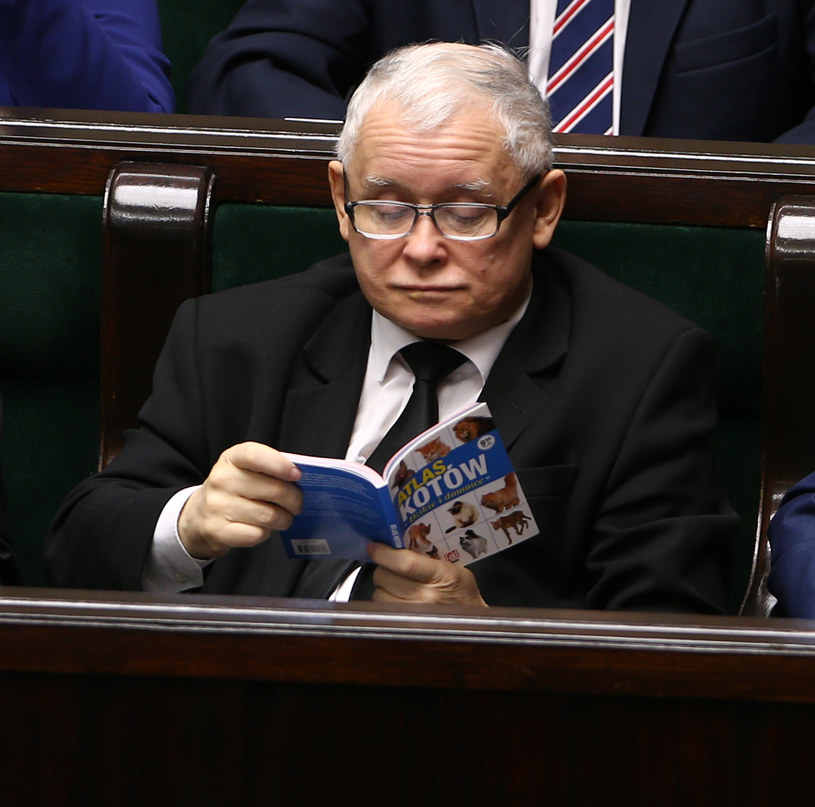 Jarosław Kaczyński /Krystian Maj /Agencja FORUM
