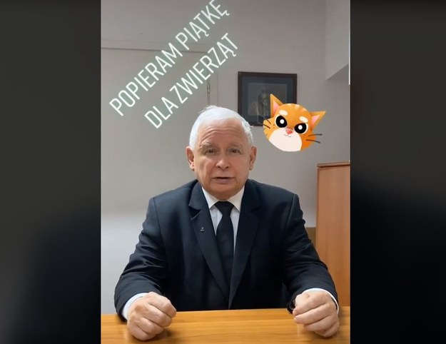 Jarosław Kaczyński /TikTok /Zrzut ekranu