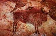 Jaskinia Altamira, czerwono-czarne bizony /Encyklopedia Internautica