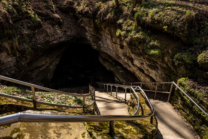 Jaskinia Mamucia oferuje trasy zróżnicowane pod względem trudności. Odpowiednie dostosowanie sprawia, że odwiedzać ją mogą również dzieci i osoby z niepełnosprawnościami. /Pixel