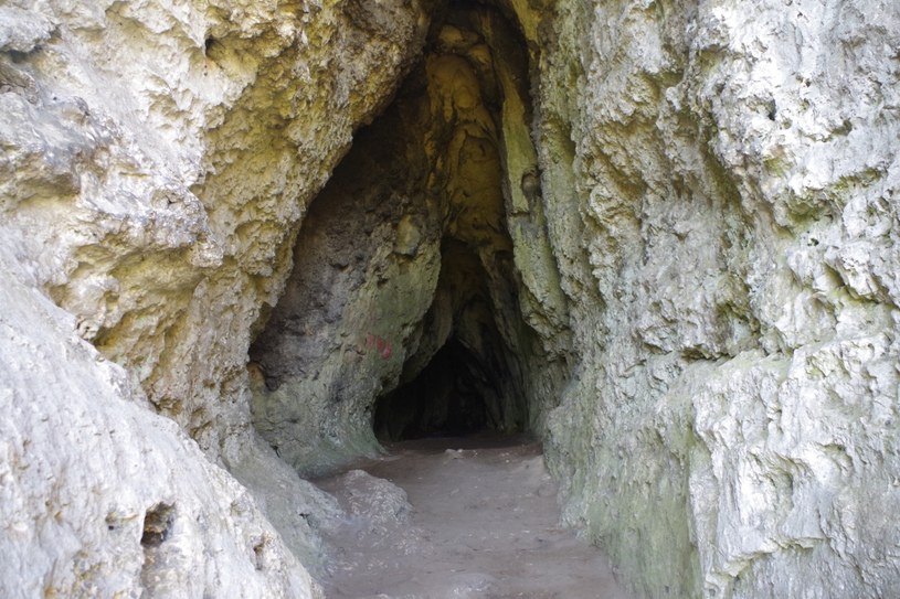 Jaskinia Stajnia. Fot. Jerzy Opioła /Wikipedia