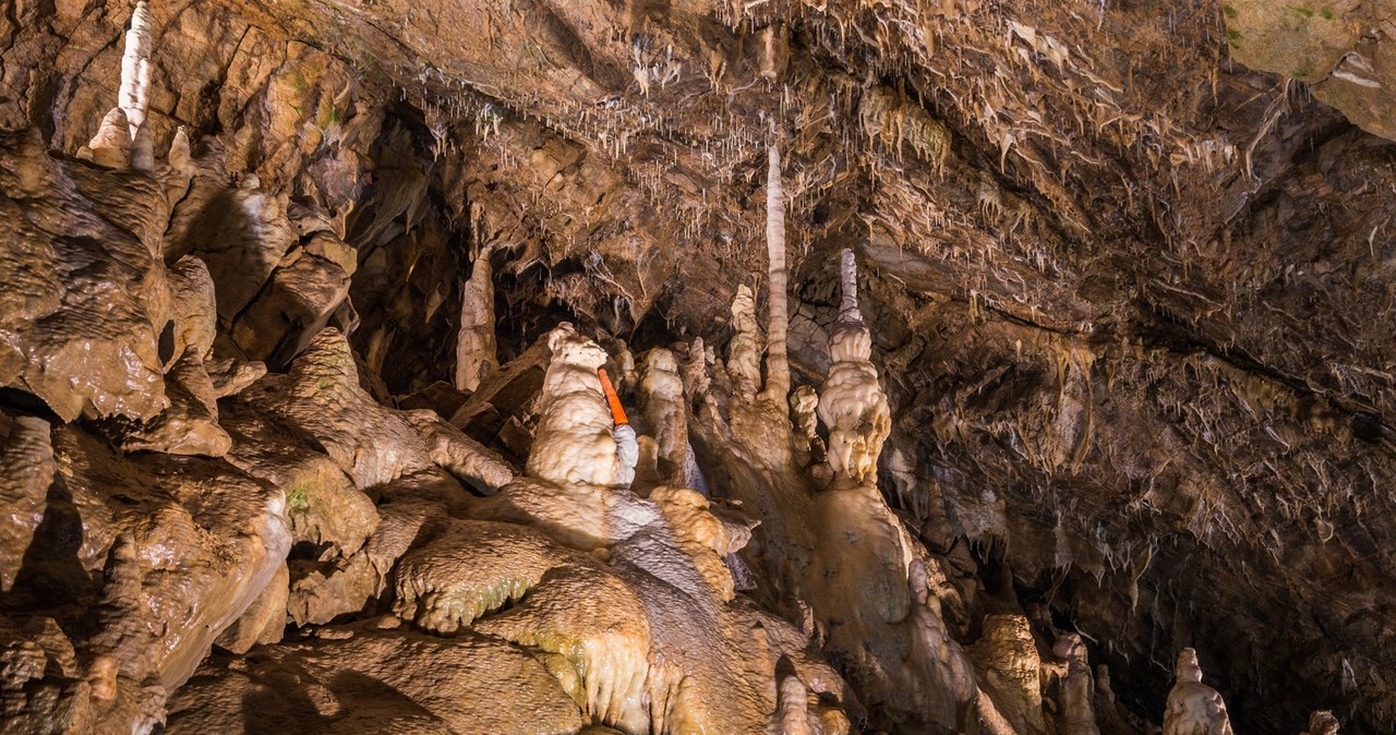 Jaskinie Punkevni w Czechach są chętnie odwiedzane przez turystów. /Pixel