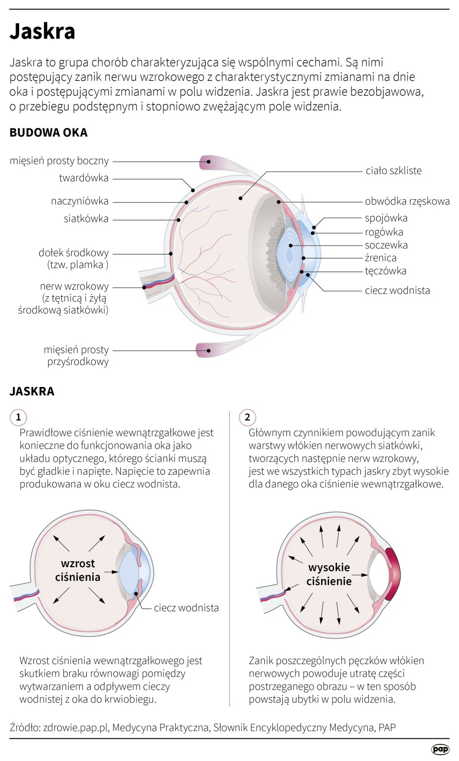 Jaskra /Maria Samczuk /PAP