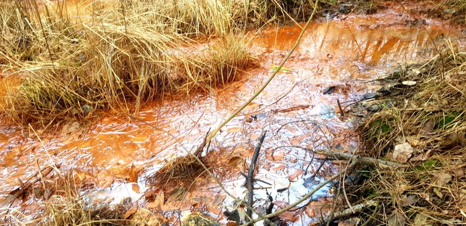 Jaworzno, okolice zakładów chemicznych /Przemysław Błaszczyk /RMF MAXX