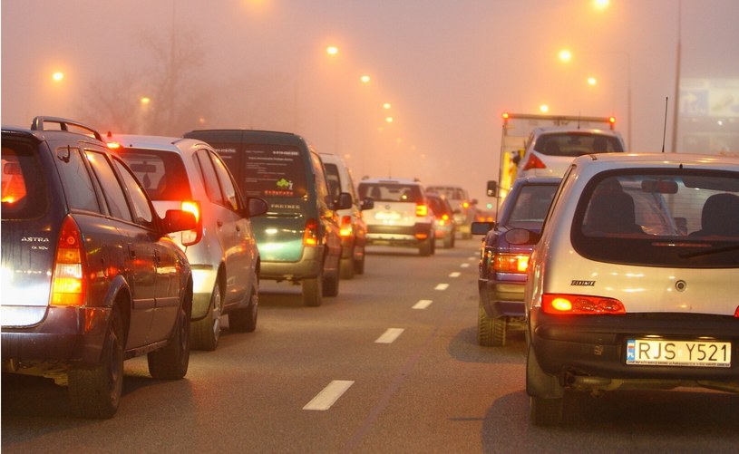 Jazda we mgle wymaga dostosowania prędkości do pogorszonych warunków. Jeśli widoczność jest niższa niż 50 metrów powinniśmy włączyć światła przeciwmgłowe /Stanisław Kowalczuk /East News
