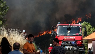 Jechali walczyć z ogniem. W wypadku zginęło dwóch strażaków