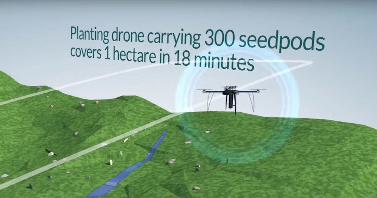 Jeden dron będzie mógł udźwignąć 300 sadzonek /YouTube