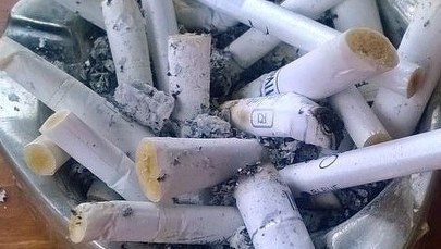 Jeden papieros dziennie to... o jeden za dużo