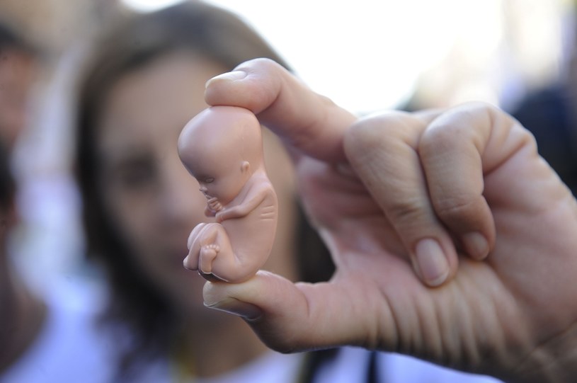 Jeden z amerykańskich portali z produktami dla niemowląt oferuje figurkę płodu z drukarki 3D. /AFP