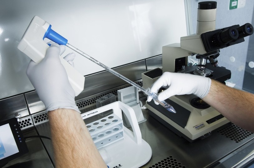 Jeden z etapów in vitro; zdj. ilustracyjne /UIG Medical Science /East News